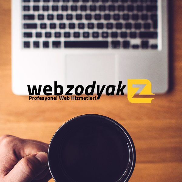 Web Zodyak Profesyonel Web Hizmetleri